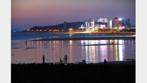 논산딸기, 보령머드 등 충남도 대표 축제…문화관광축제로 ‘우뚝’