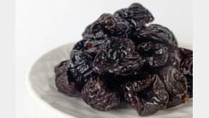  장 건강이 먼저다…요즘 웰니스 피플이 주목한 ‘이것’