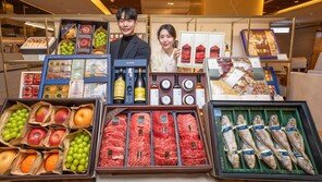 [프리미엄뷰]프리미엄 한우-35cm 굴비… 설 선물세트에 ‘고급’을 입히다