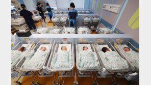 지난해 1~11월 출생아 6.2% 늘어…18년 만에 최고 증가율