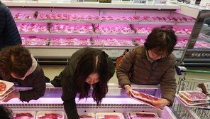 설 연휴 역귀성객 KTX-SRT 최대 50% 할인