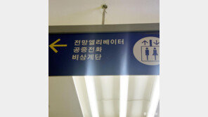 [고양이 눈]“응답하라, 공중전화”