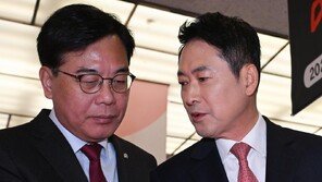 국힘, 새 강령에 ‘건국-산업화’ 넣고 ‘기본소득’ 삭제 검토