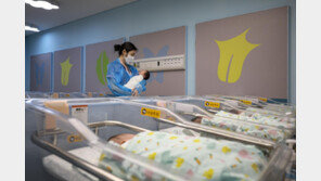 작년 1~11월 출생아 6.2% 늘어… 18년만에 최고 증가율