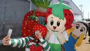 논산딸기축제, 문체부 ‘문화관광축제’로 선정