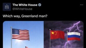 트럼프 정부 SNS 곳곳에 ‘인종주의’ 흔적… 나치 슬로건 ‘하나의 민족’ 연상 콘텐츠도