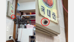 떡볶이 맛집서 기겁…‘달인’ 명패 아래 손가락만 한 바퀴벌레