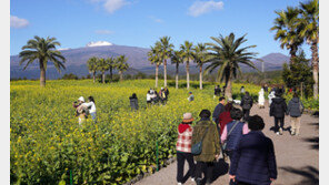 “작년보다 사흘 빠르다”…제주 관광객 100만명 조기 돌파