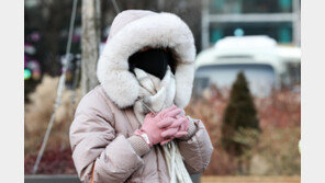 30일 한파 절정, 일요일부터 풀리기 시작해 다음주엔 낮에는 영상권