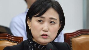 與 “대미투자법 국힘과 협상중…비준 상관없이 통과돼야”