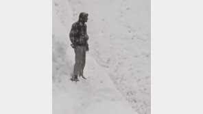 “문 열린 댐 강물처럼 흐르는 눈”…인도 오지 희귀 현상 포착(영상)