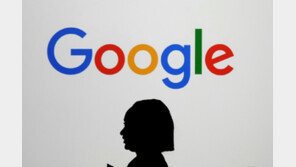 구글 “해킹SW 몰래 심은 中기업 도메인, 네트워크서 제거”