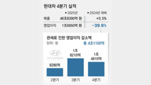 관세폭탄 맞은 현대차, 최대 매출에도 영업이익 20% 급감
