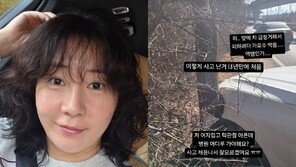 허안나, 아찔한 교통사고 “앞차 피하려다 가로수 박아…어지럽다”