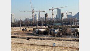 서울시 “민간 재개발 외면한 반쪽대책”… 경마장 이전엔 과천 반발