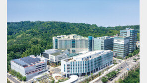 췌장암 성장 막고 항암 면역기능은 높이는 ‘이것’ 발견