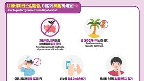 ‘치명률 최대 75%’ 인도서 니파바이러스 발생…“방문 시 예방수칙 준수”