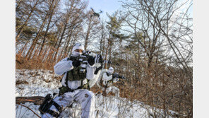 軍, 11사단 예하 중대급 ‘드론 유닛’ 출범…소형 자폭 드론 등 보유