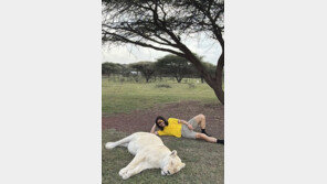 “잠자는 사자 건드려”…노홍철, 아프리카서 간담 서늘 근황