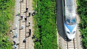 ‘7명 사상’ 청도 열차사고 첫 재판…현장 책임자들 혐의 부인