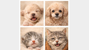 [반려동물 20세 시대]우리 강아지랑 고양이가 나보다 나이가 많다구요?