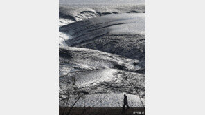 [고양이 눈]겨울 산책