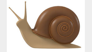 뜨개질 열풍에 싱잉볼 명상까지… ‘느린 취미’로 소확행 찾는다