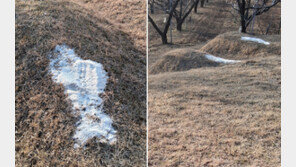무슨 주술이길래…마을 묘소 11곳에 ‘소금 테러’