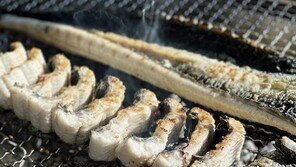 초벌구이도 판매… 집에서도 편하게 ‘풍천장어’ 즐겨보세요