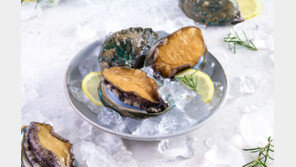 청정 바다서 자란 참전복… 육질 단단하고 씹는 맛 일품