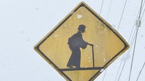 경찰도 몰랐다…SNS 난리 난 日 ‘할머니 표지판’