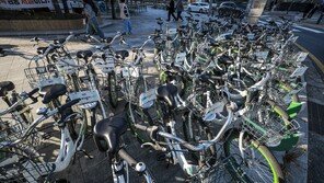 민주당, ‘따릉이’ 개인정보 유출에 “서울시, 관리 이 정도인가”