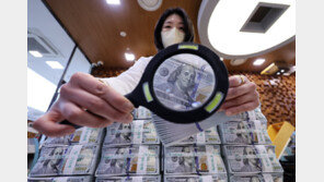 금·은 폭락시킨 ‘워시 쇼크’…2월 韓경제, 환율·물가 ‘이중고’