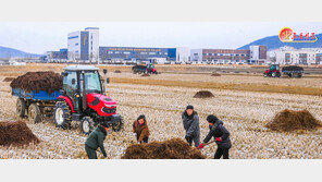 북한 서해안 곳곳 ‘빈 땅 개조’에 박차…여전히 중요 과제인 식량 확보
