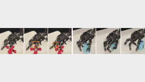 물건 집고, 병뚜껑 따고, 나사 박고… 로봇 손, 곧 사람 따라잡겠네