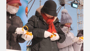 주부 9단의 감 깎기 실력 보여드릴게요