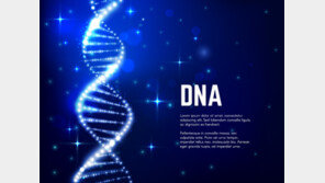 혈액암 조기발견 어떻게?…“잦은 멍·출혈땐 일단 의심을”