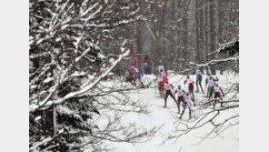 日 산악서 스노보드 타던 한국인 조난 잇따라…이틀 새 8명 구조