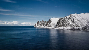 작년 노르웨이 수산물 수입량 약 7만t… 연어 수입 11% 성장