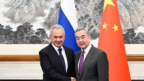 러 쇼이구, 中왕이와 회담…“중·러 정상회담 일정 등 논의”