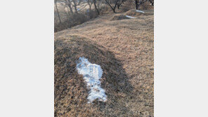 “조상들 잘 되라고” 옥천 묘 11기에 소금 살포…2명 입건