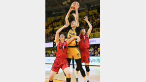 여자농구 국민은행, BNK 꺾고 5연승…박지수 23점 17리바운드