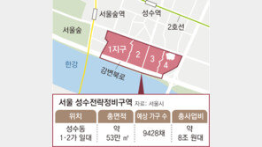 “강북권 ‘최대어’ 성수 재개발 잡아라” 건설사들 본격 수주전