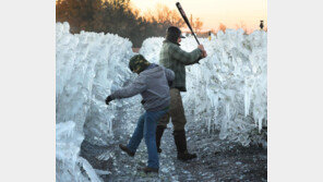 ‘100년 만의 한파’ 꽁꽁 언 美플로리다