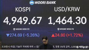하루 274P 역대최대 폭락… “단기 조정일뿐” vs “거품론 커질수도”