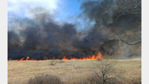 “너무 추워서” 창원 갈대밭 방화 50대 긴급체포