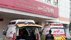 양수 터진 임신부 병원 7곳서 거부…구급차서 출산