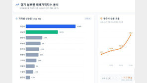과천·성남 등 남부권 집값 상승세 뚜렷
