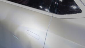 “전기차 문 안열려 일가족 사망” 공포에…中 ‘매립형 손잡이’ 금지