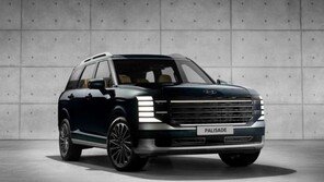 현대차 팰리세이드, 지난해 21만대 팔려 연간 최다 판매 경신